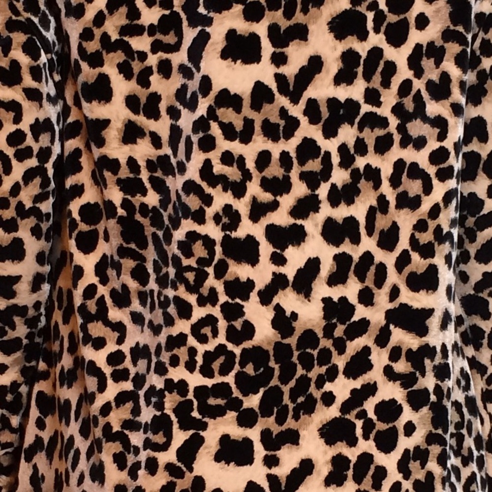 Leopard Print Velvet Cardigan - Picture 5 of 5